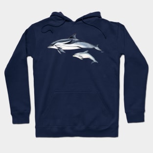 Striped dolphin Hoodie